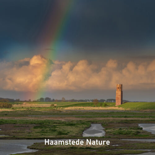 2024-05_Haamstede Nature_Vierkant