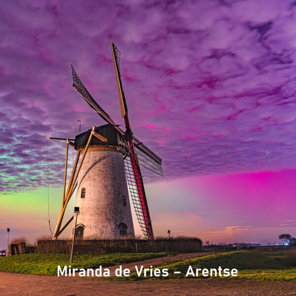 2026-01_Miranda de Vries – Arentse_vierkant