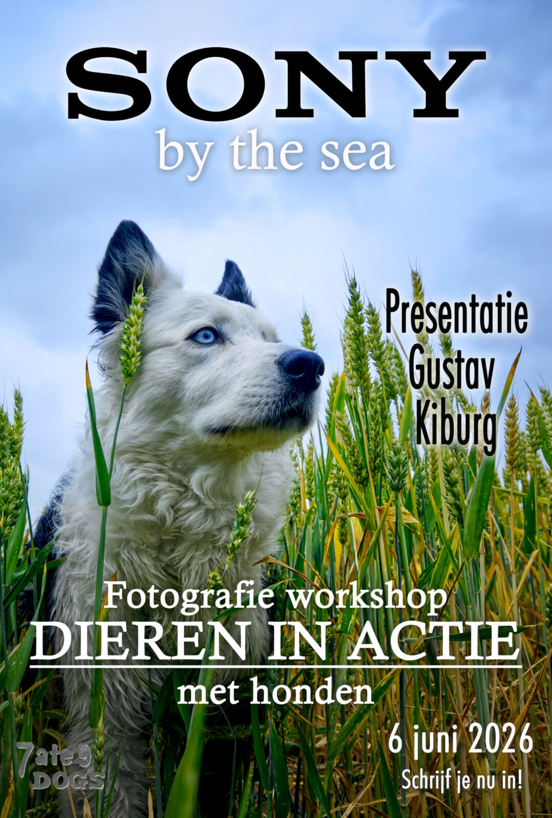 Poster Sony event kopie 4