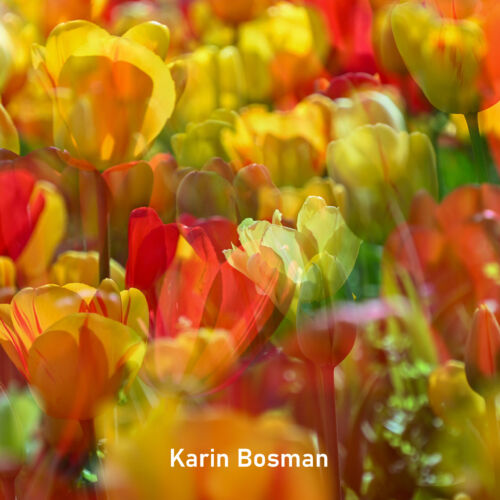 2026-04_Karin Bosman_vierkant